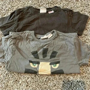Bundle Zara Tshirts